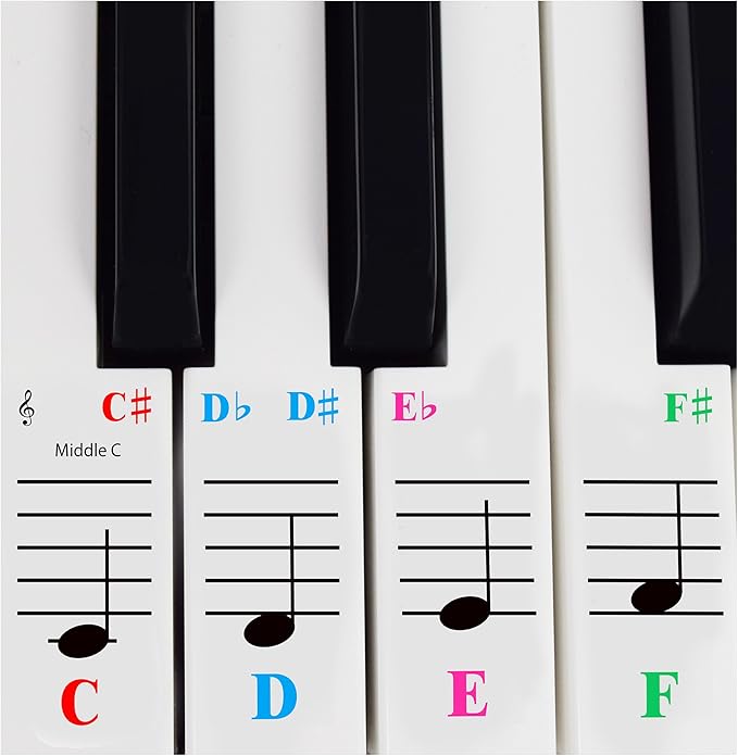 QMG Piano Stickers for 61-Key Keyboard, Color-Coded Notes, Visual Reference Tool for Beginners, Transparent and Removable, Leaves No Residue, Made in USA