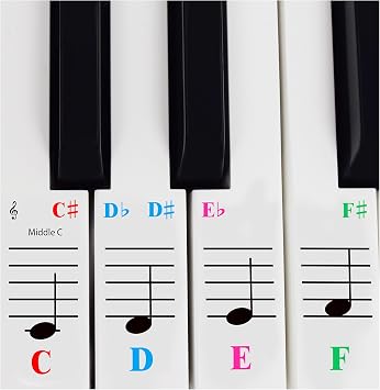 QMG Piano Stickers for 61-Key Keyboard, Color-Coded Notes, Visual Reference Tool for Beginners, Transparent and Removable, Leaves No Residue, Made in USA