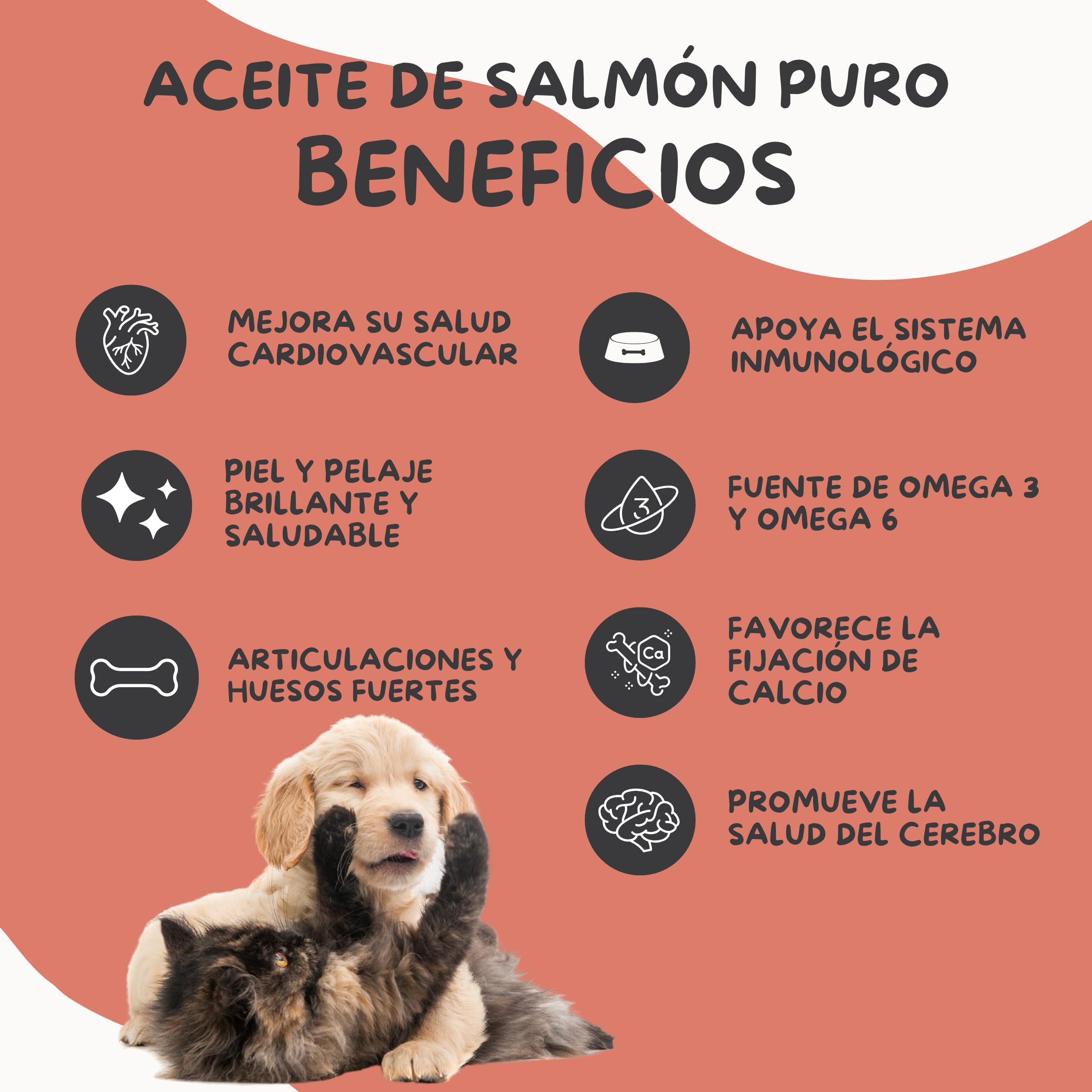 Olio di salmone 5 litri