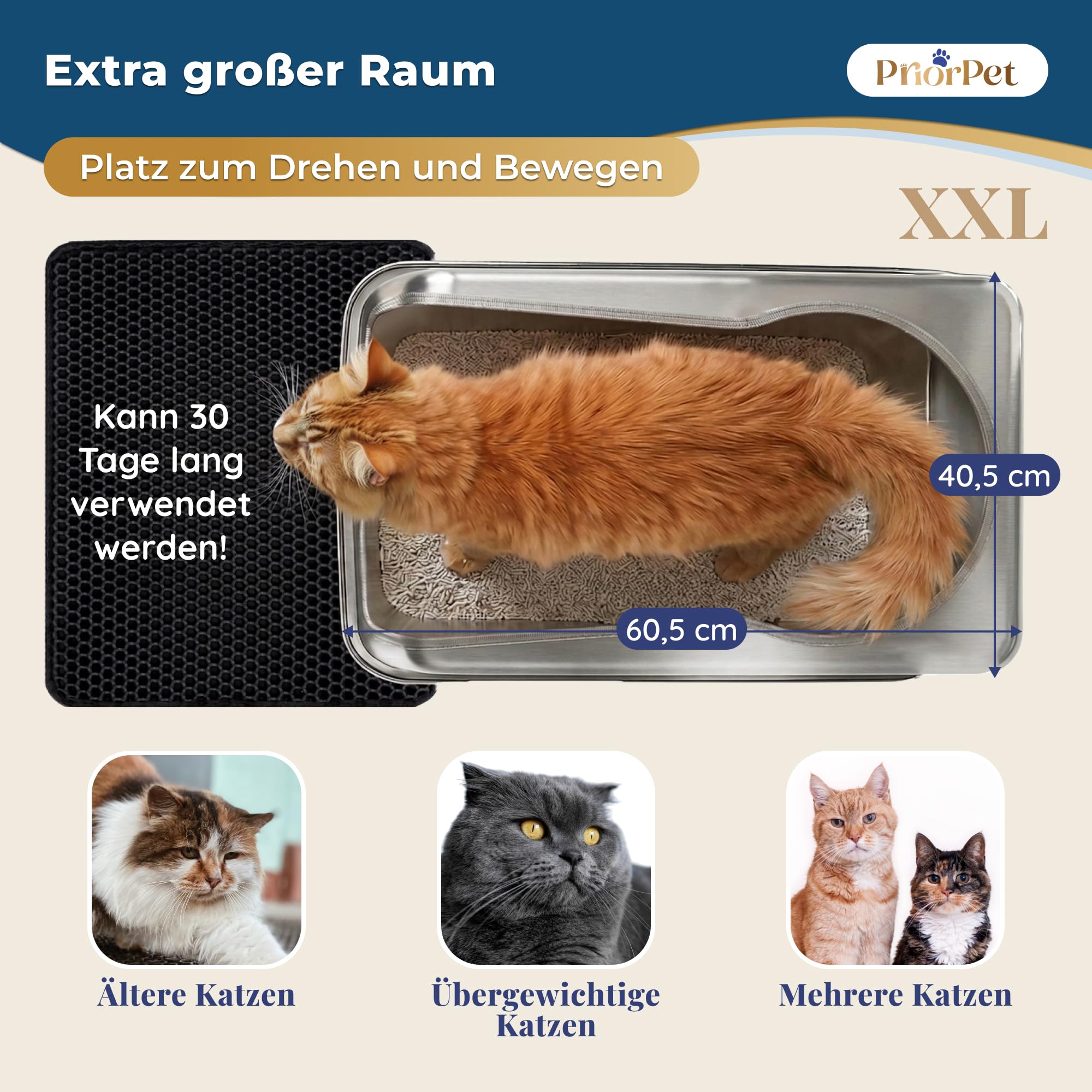 Katzenklo Edelstahl XXL – Leicht zu reinigen, geruchsresistent – Katzentoilette mit hohem Rand, 38L – Auslaufsicher, antihaftbeschichtet – Mit Schaufel & Matte