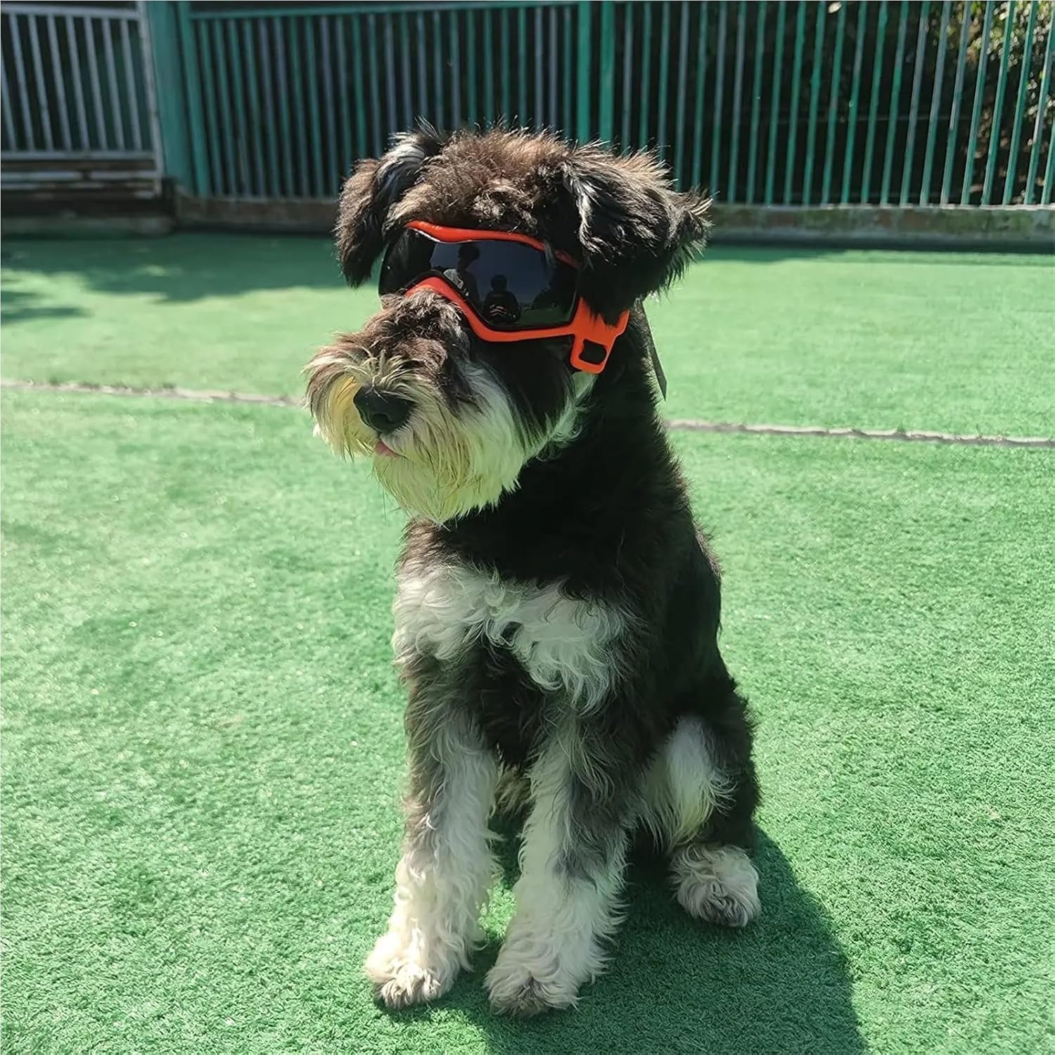 Protective Sunglasses for Dogs and Cats - Protection Eyewear for Small and Medium Pets - Outdoor Friendly Gear(Black,Medium)