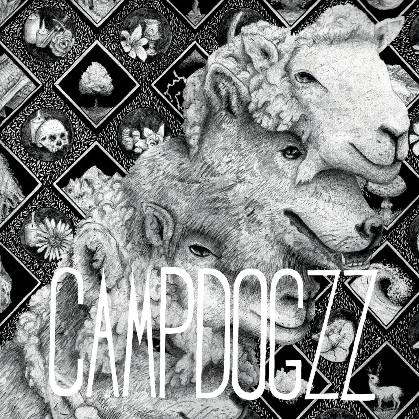 Campdogzz