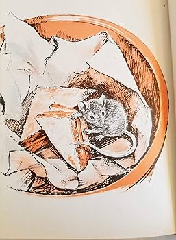 ぼく字がかけるよ 教室ねずみ ぼく字がかけるよ: 教室ねずみジョンのお話 (偕成社・幼年翻訳