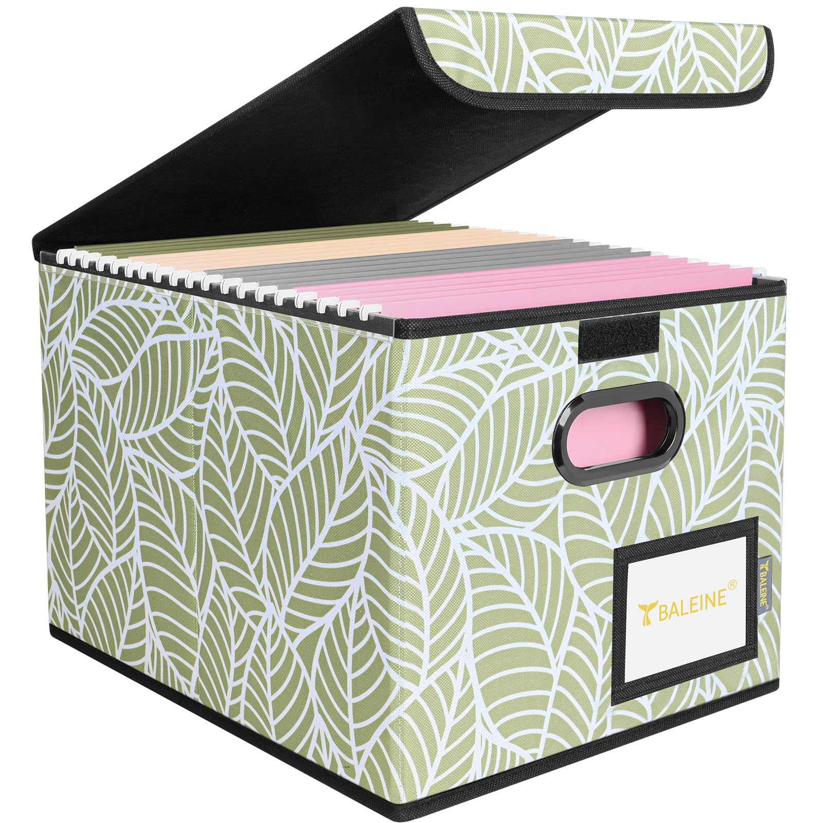 BALEINE File Organizer Box with Lid, Collapsible Hanging File Storage Box