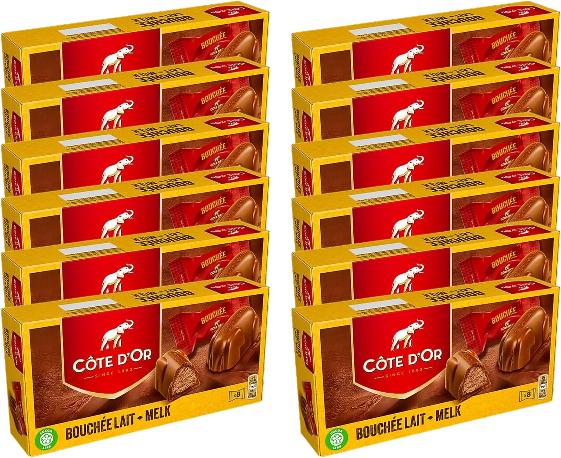 Cote Dor Milk Bouchee filled with creamy Praline, Chocolate gift for any chocolate lover