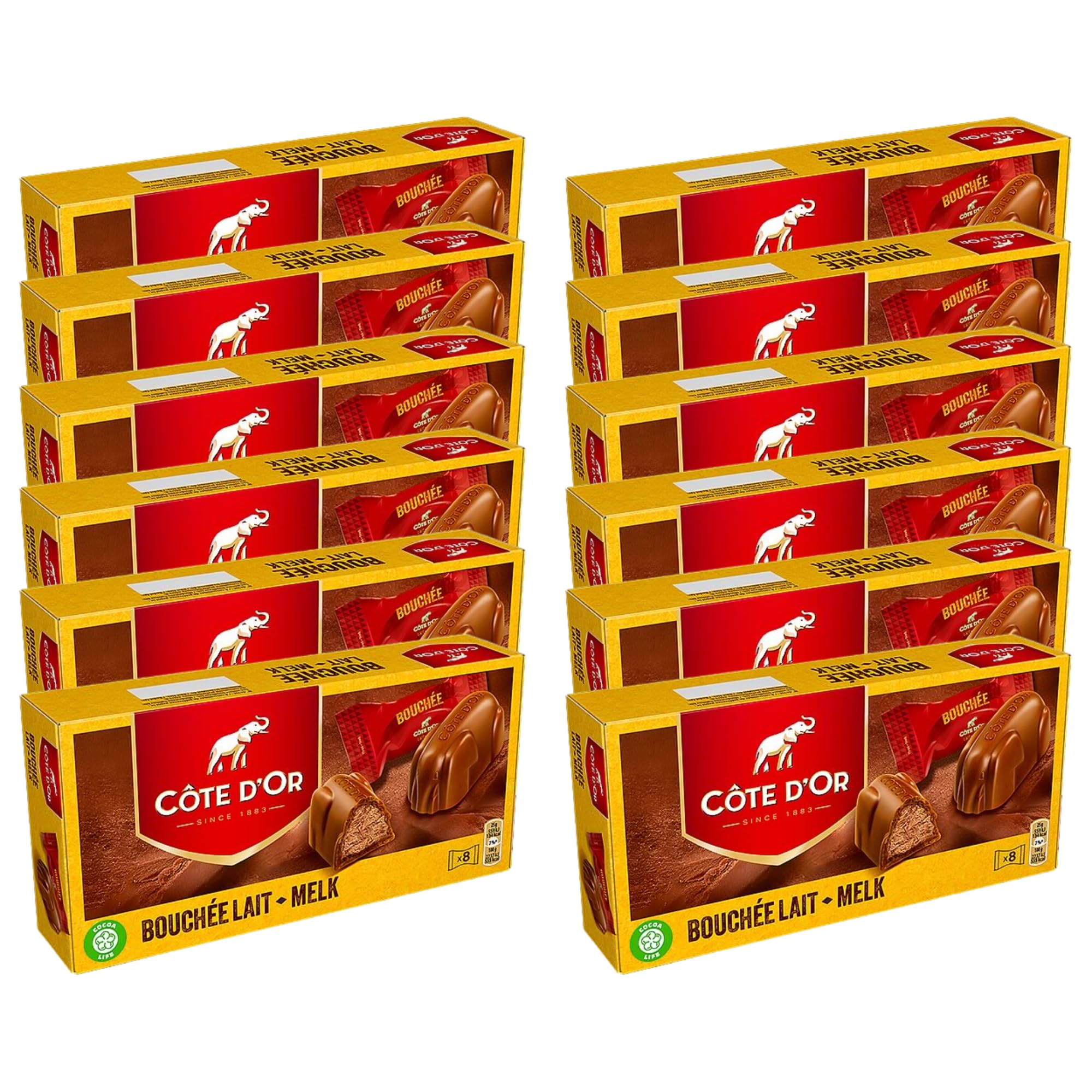 Cote Dor Milk Bouchee filled with creamy Praline, Chocolate gift for any chocolate lover