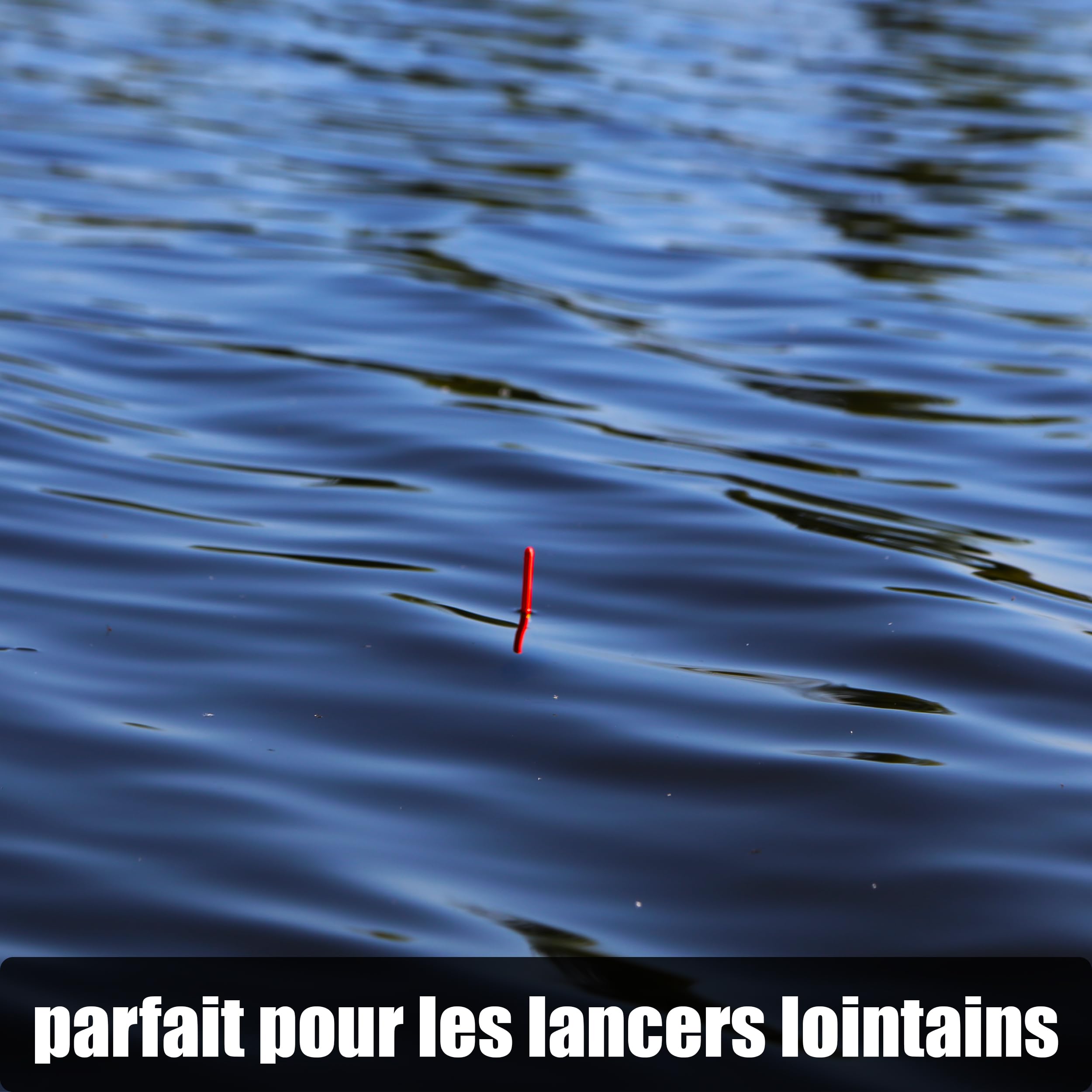 Paradox Fishing Lot de 5 flotteurs de pêche 2g 4g 8g pré-blanchi