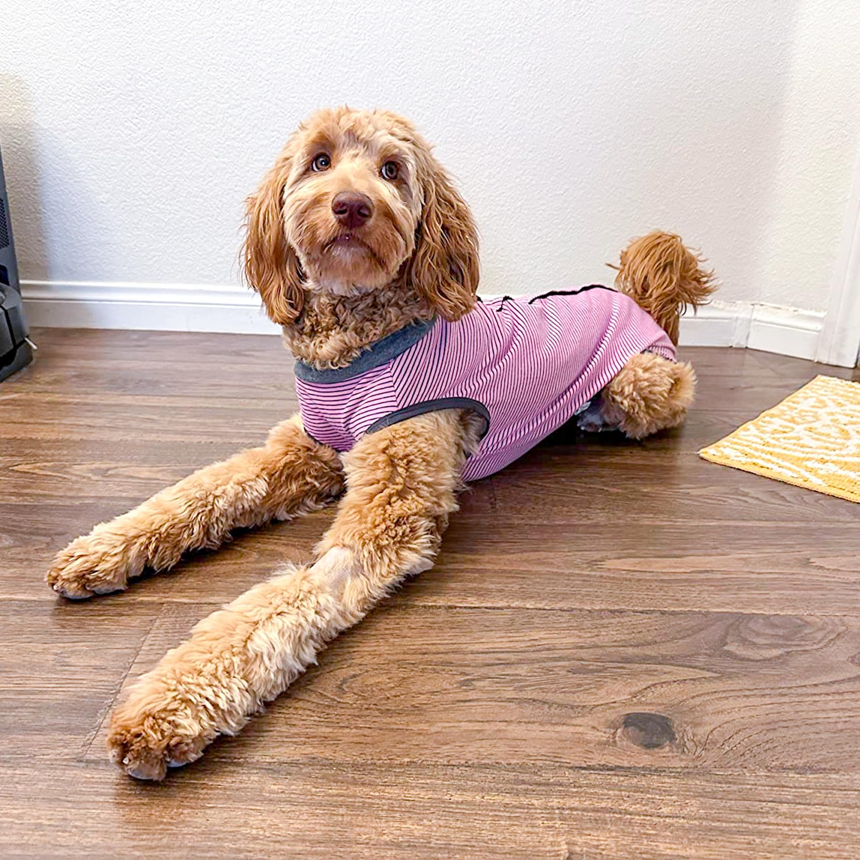 Traje de recuperación para Perros, Protector de heridas Abdominales para Cachorros, Ropa quirúrgica médica, Chaleco postoperatorio, para Mascotas, después de la cirugía, sustituto