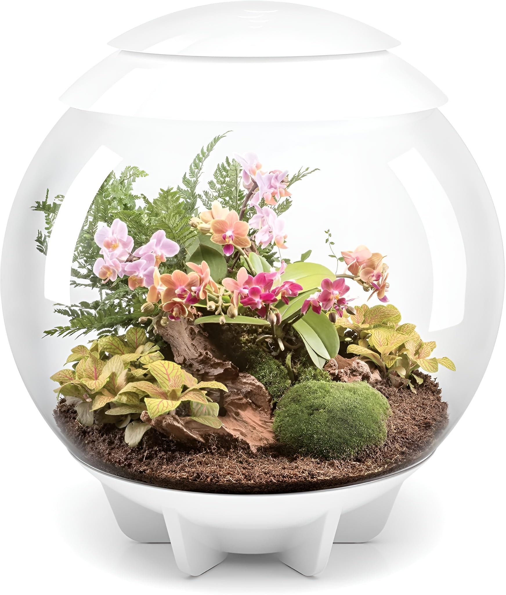 BiOrbAIR 60 Litre Automatic Terrarium in White with LED Lighting