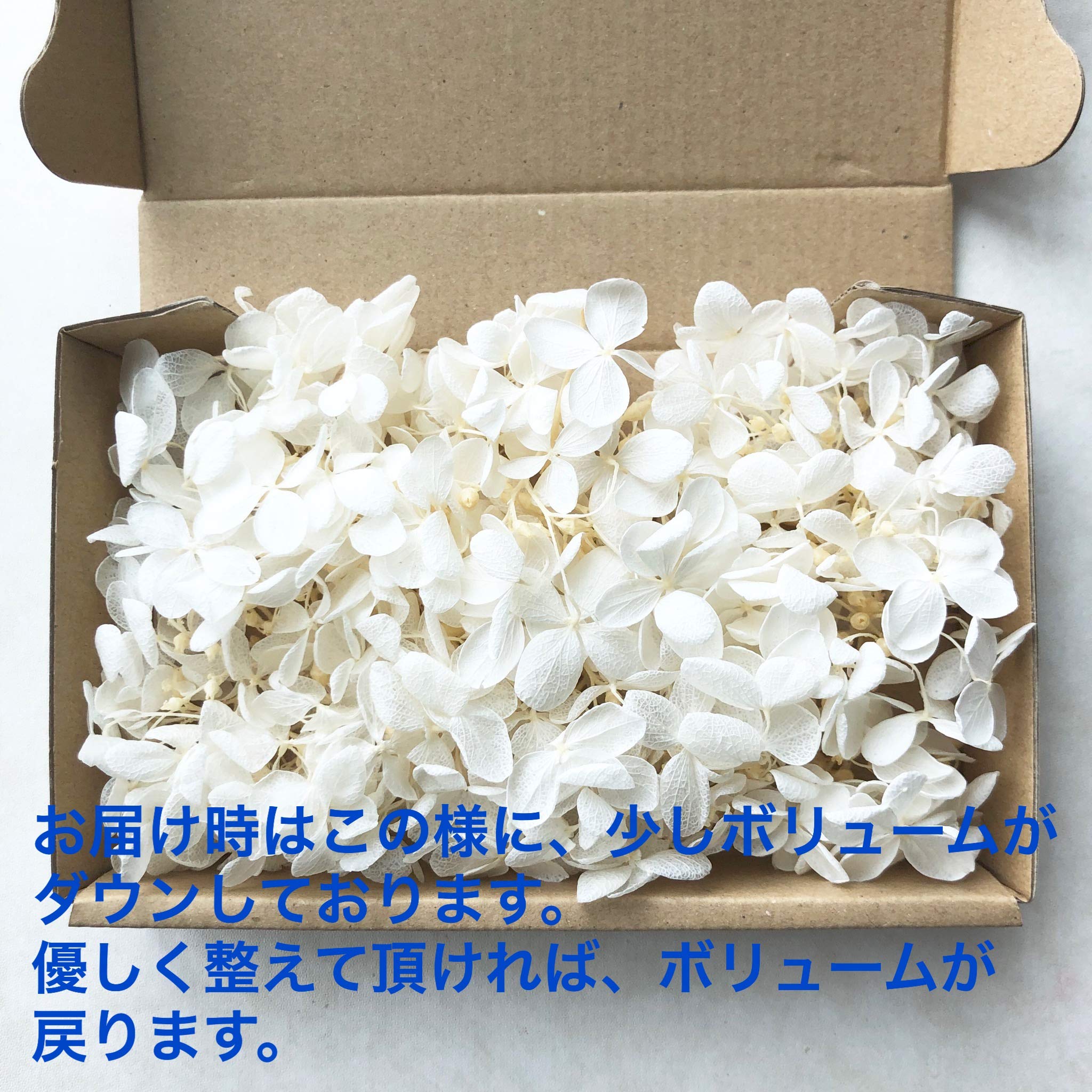 Amazon.co.jp: プリザーブドフラワー ピラミッドアジサイ グリーン系3