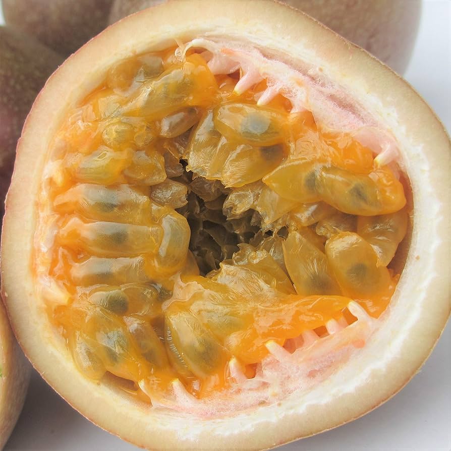 沖縄県産パッションフルーツ原液冷凍1kg 冷凍パッションフルーツ 約1kg（沖縄県大宜味村） | ふるさと