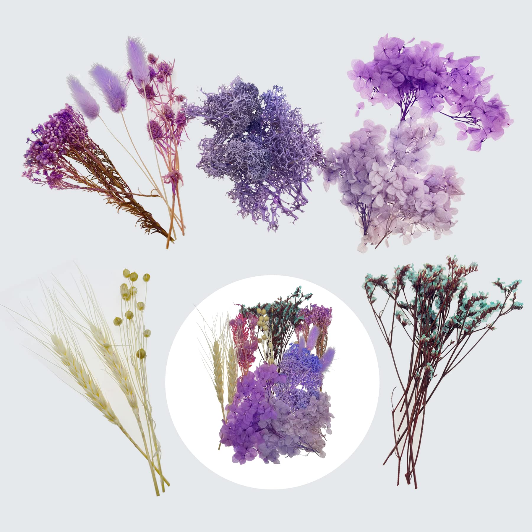 Cayway 2 Scatole Di Fiori Pressati Naturali | Con Pinzette E Forbici | Per Resina, Scrapbooking, Nail Art - 3
