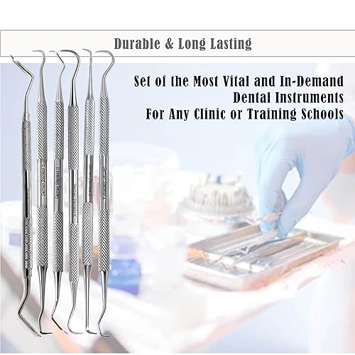 Miniatura 4 de Herramientas dentales profesionales, kit de cuidado bucal, kit de higiene dental de acero inoxidable con raspador de dientes, pinzas para sarro,