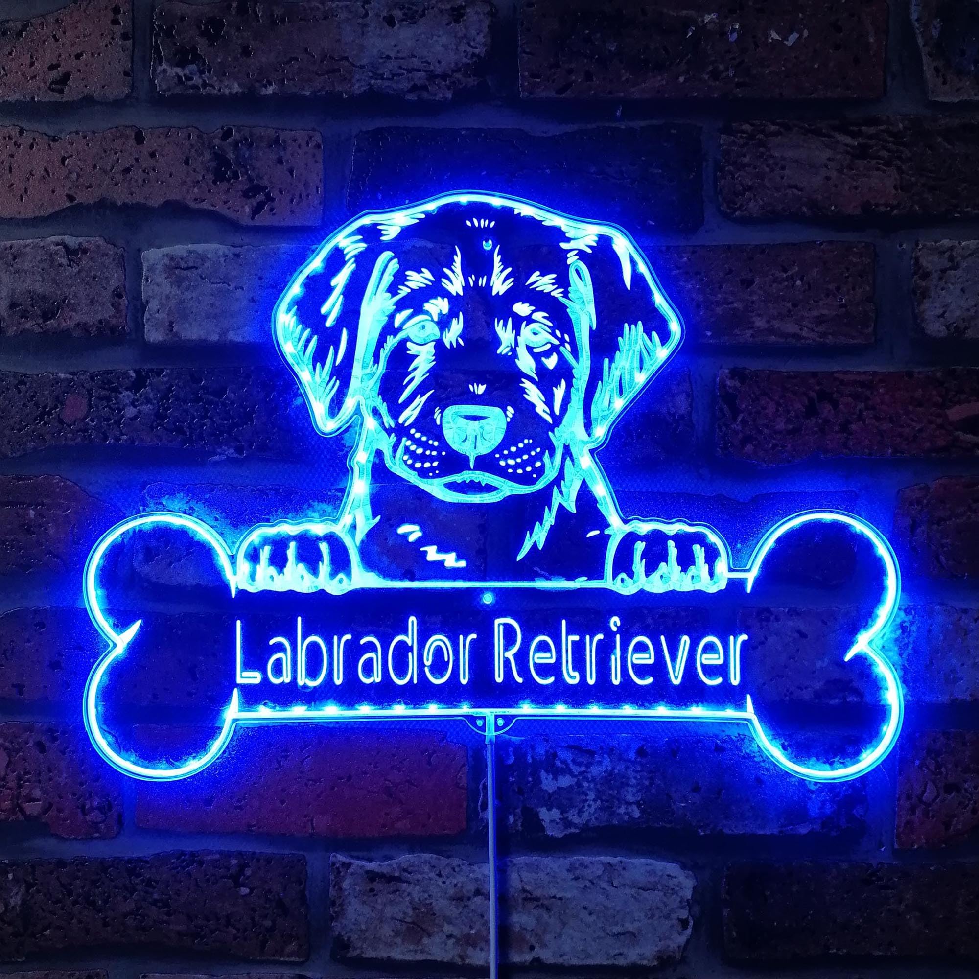 ADVPRO Name Personalize Labrador Retriever Dog RGB Dynamic Glam LED Sign - Cut-to-Edge Shape - Smart 3D Wall Decoration - Multicolor Dynamic Lighting - st06s22-fnd-p0075-tm