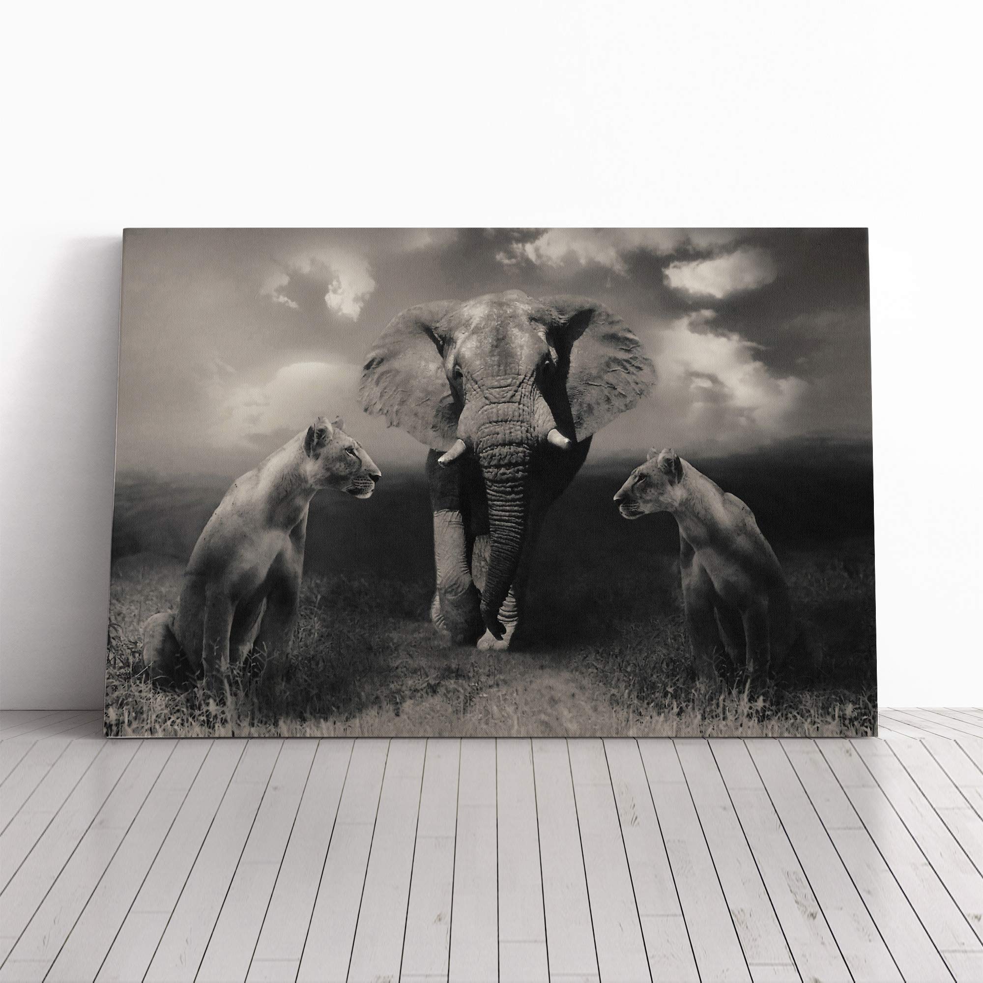 Lion Lionesses and an Elephant Canvas Print | Gallery Wrapped 30mm Frame Wall Art | 30x20 inches | Ready to Hang | Modern Animals Picture | Living Room Bedroom Lounge Office