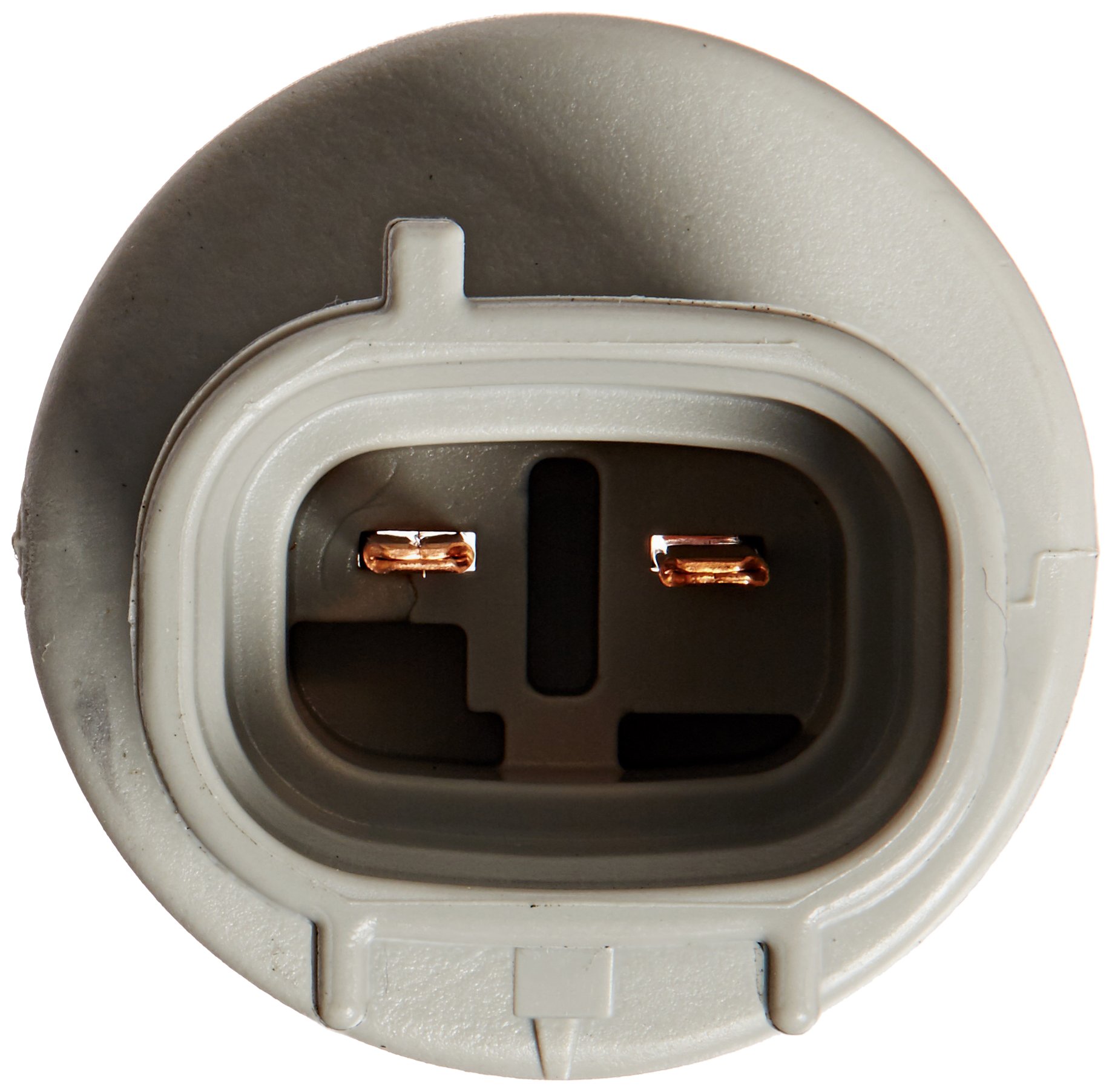 Amazon.com: Genuine Toyota 90075-60056 Socket Plug : Automotive