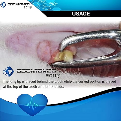 Miniatura 5 de OdontoMed2011 Fórcep dental del sarro 4,5" del raspador dental del removedor del cálculo ODM del instrumento veterinario