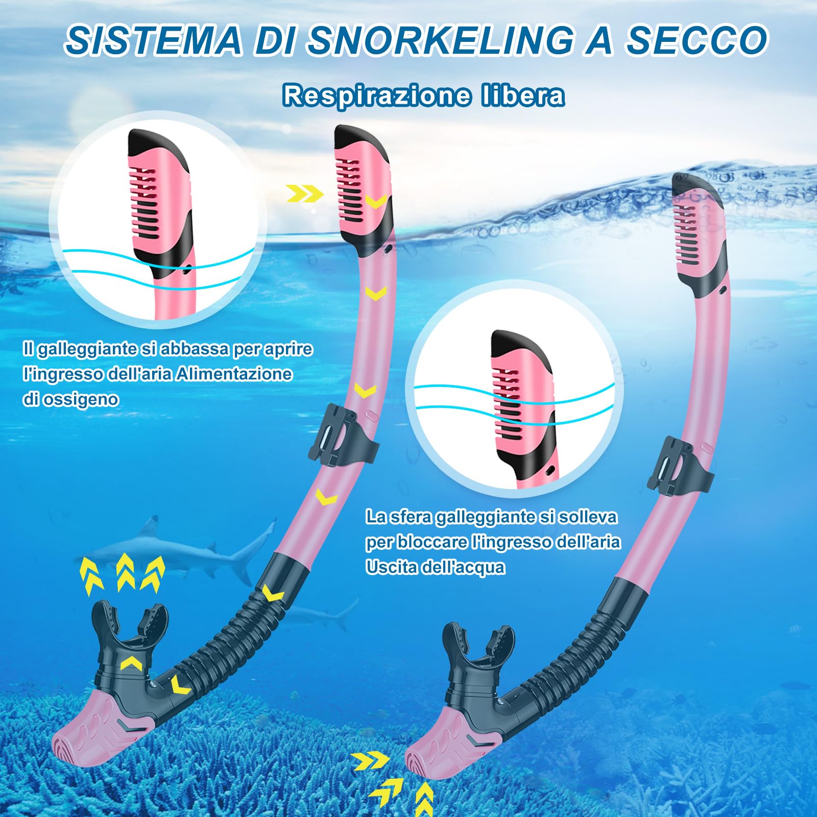IEEILULU Set da Snorkeling per Adulti, Set di Boccaglio con Maschera Subacquea, Snorkel Semi Asciutto e Pinne Regolabili, Set da Immersione per Adulti Snorkeling Avventura Subacquea