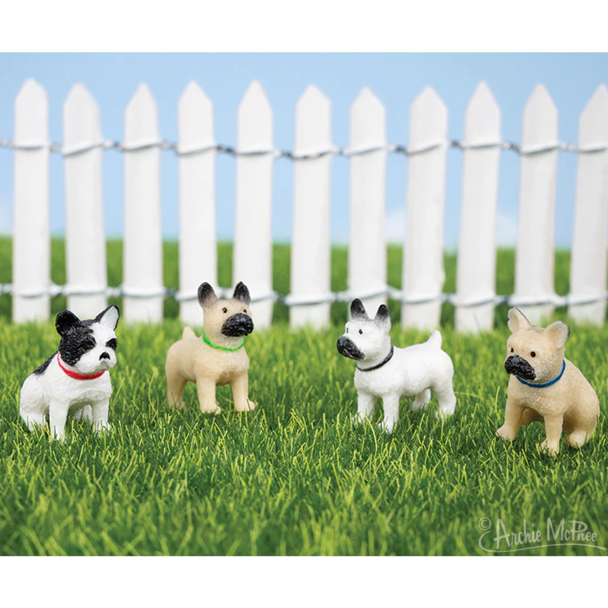 Amazon.com: Archie McPhee Vive Le Frenchie! Miniature Marvels