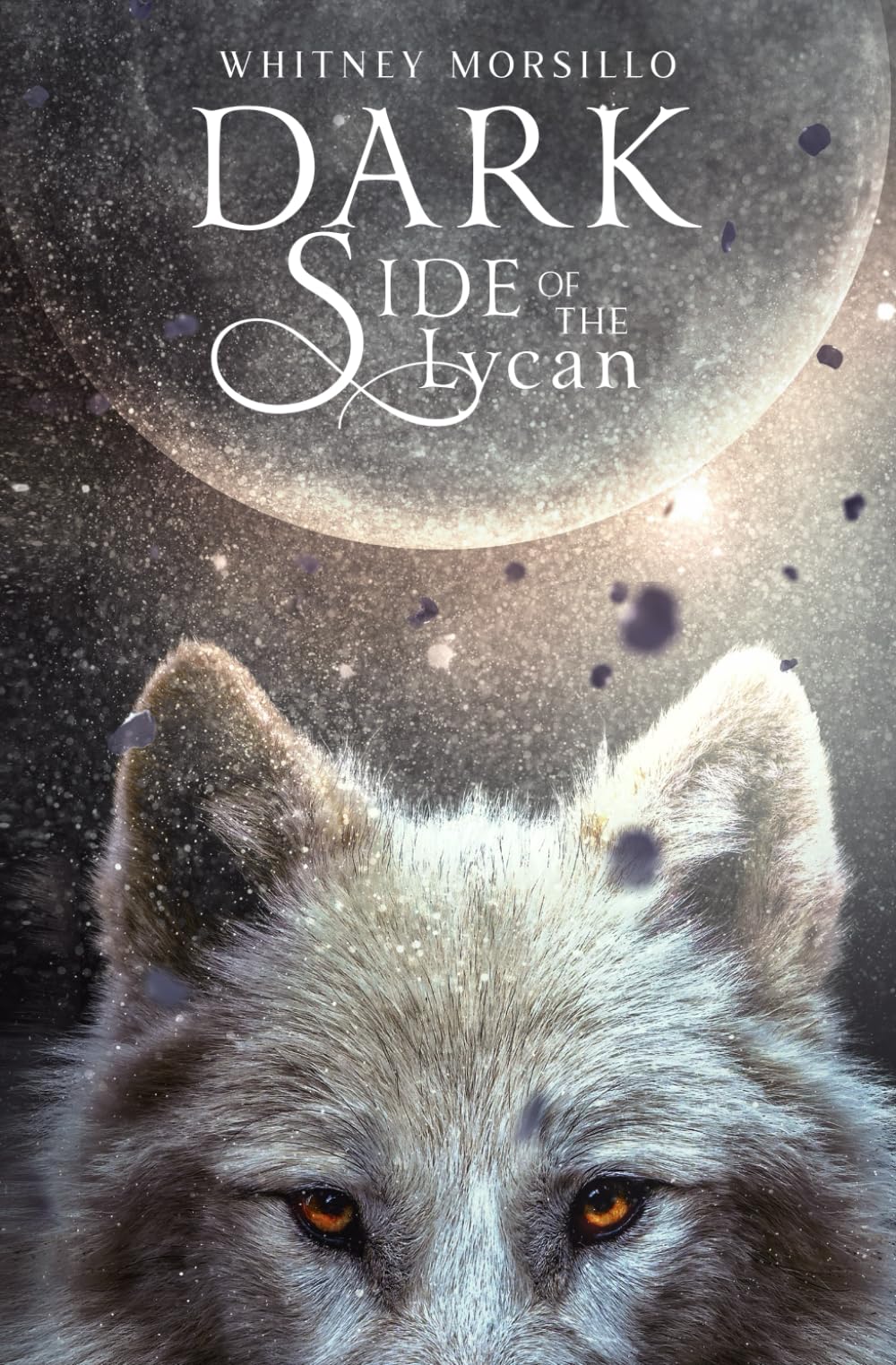 Dark Side of the Lycan: A Paranormal Romance (Lunar Wolves of Blackstone)