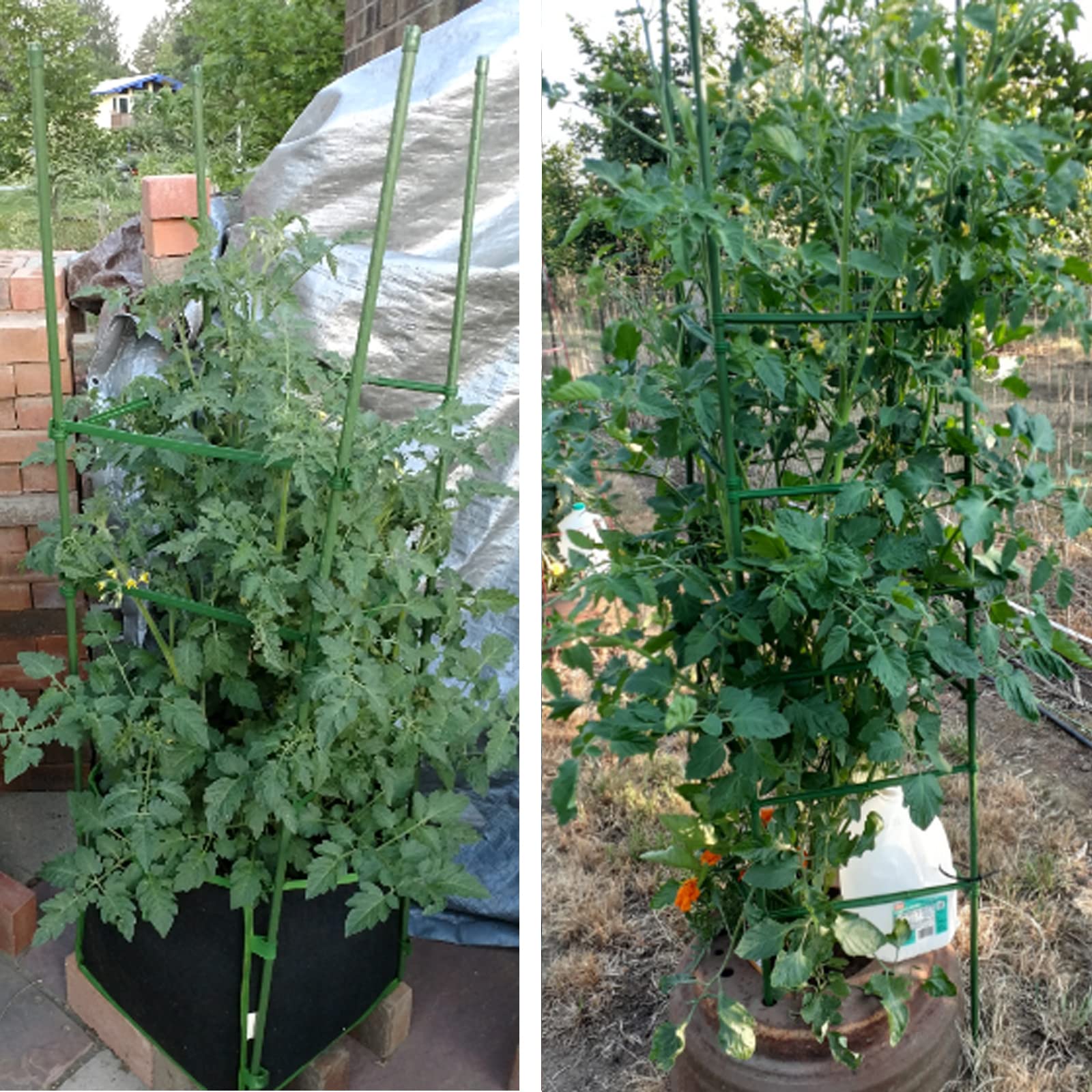 IDOXE Lot de 30 bras de piquet pour cage à tomates - Connecteurs de treillis extensibles - Pour plantes grimpantes verticales
