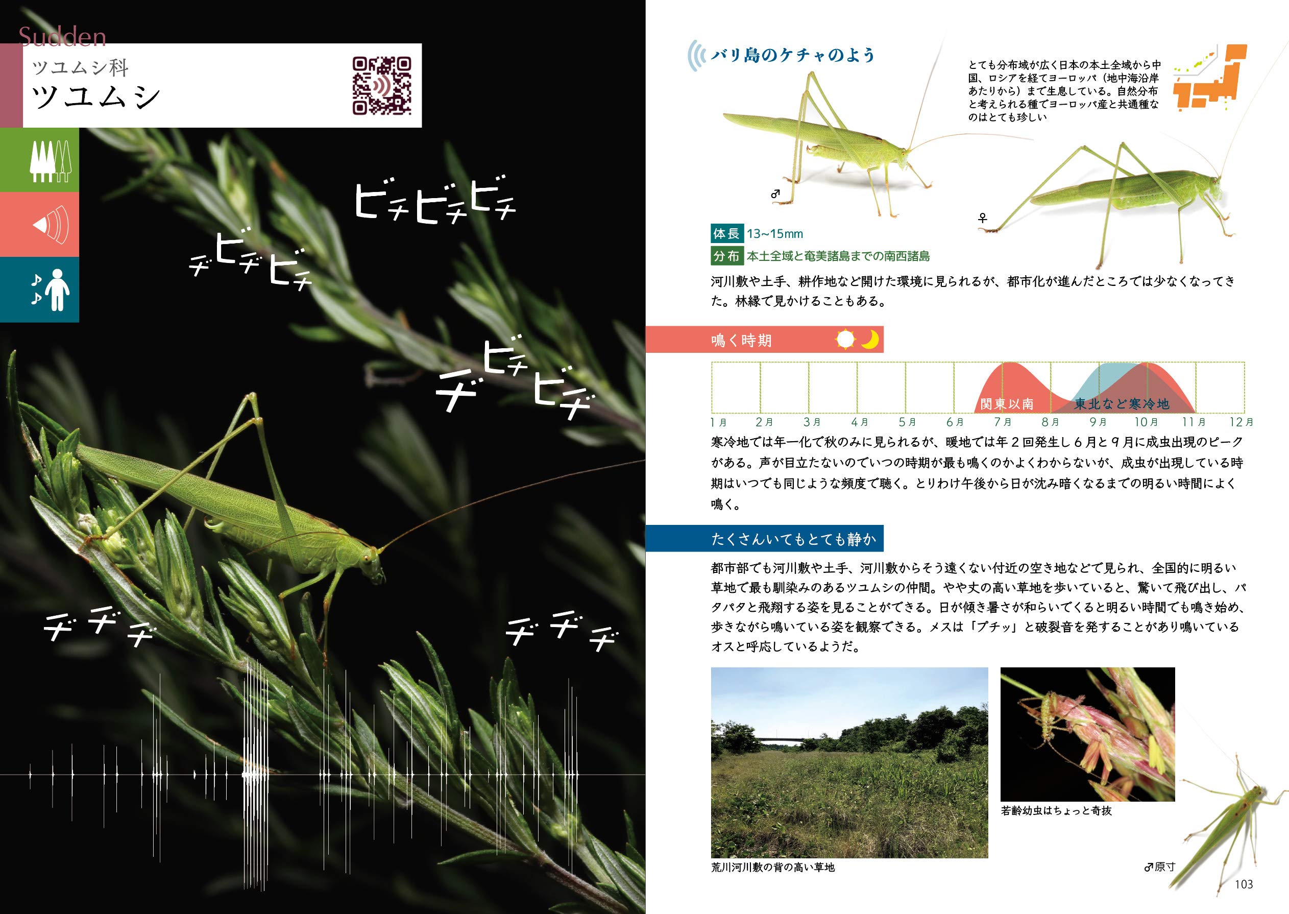 鳴く虫 音声 図鑑 Qrコードで声を聴く 音で探せる ネイチャーサウンドでいつでもどこでも虫を特定できる本 奥山風太郎 上田秀雄 本 通販 Amazon