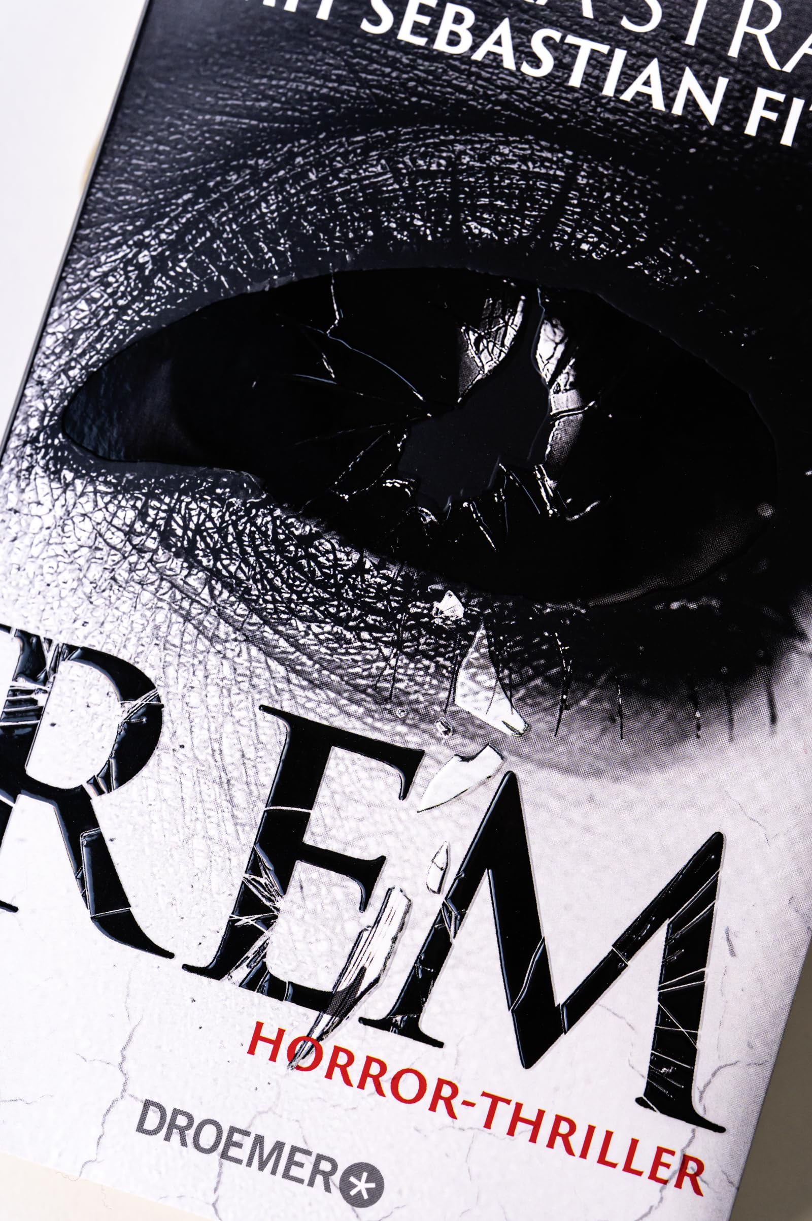 REM: Horror-Thriller | Psychothriller-Bestseller-Autor Sebastian Fitzek meets Horror-Queen Annika Strauss. Nervenkitzel garantiert.
