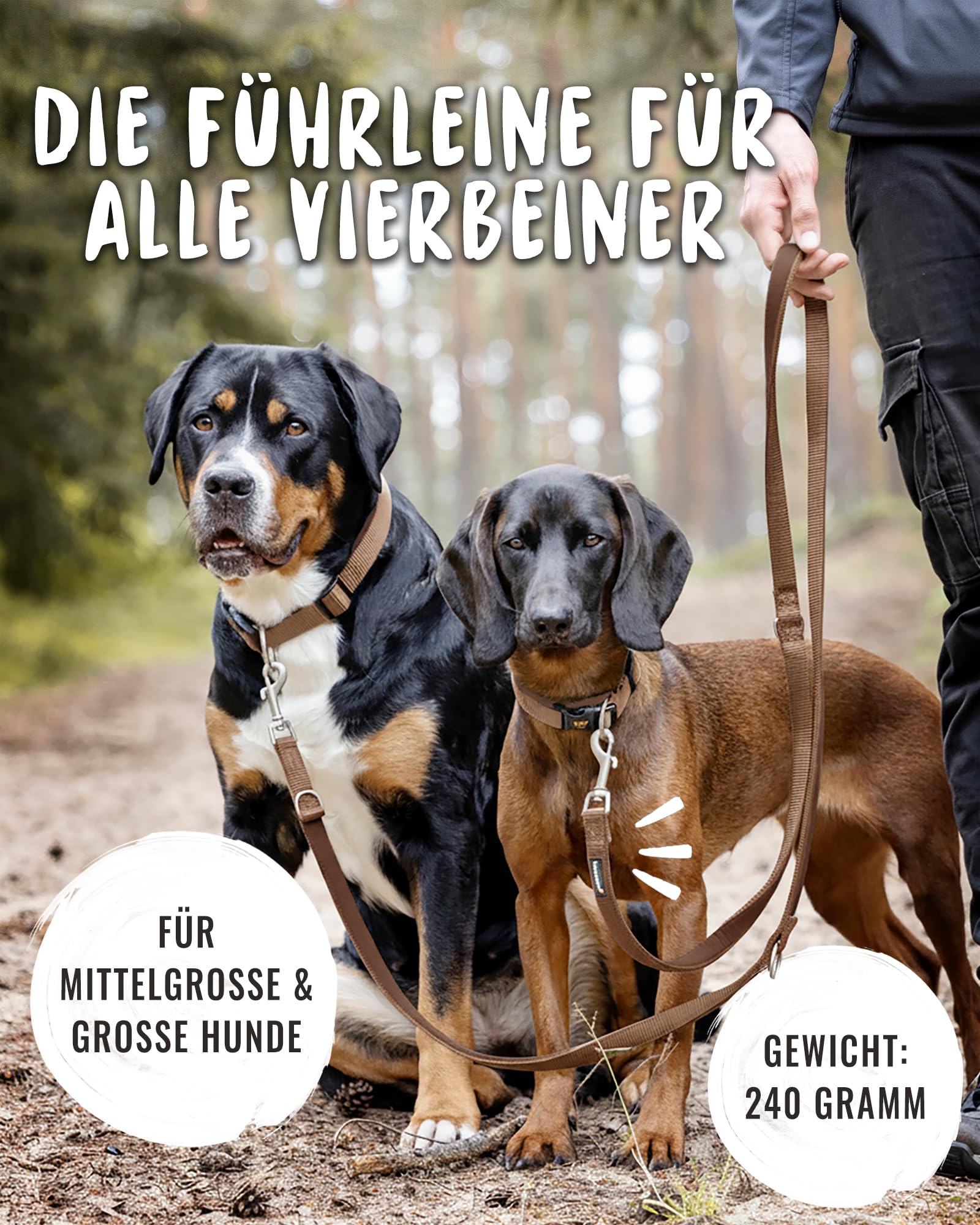 Rudelkönig Bella - Correa ajustable para perros (2,30 m, tamaño mediano y grande), color marrón