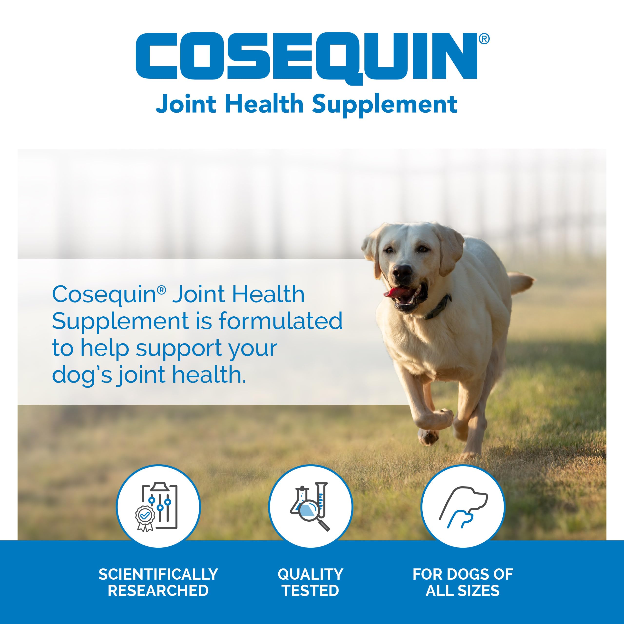 Cosequin Max Strength Soft Chew, 60 Count - 3