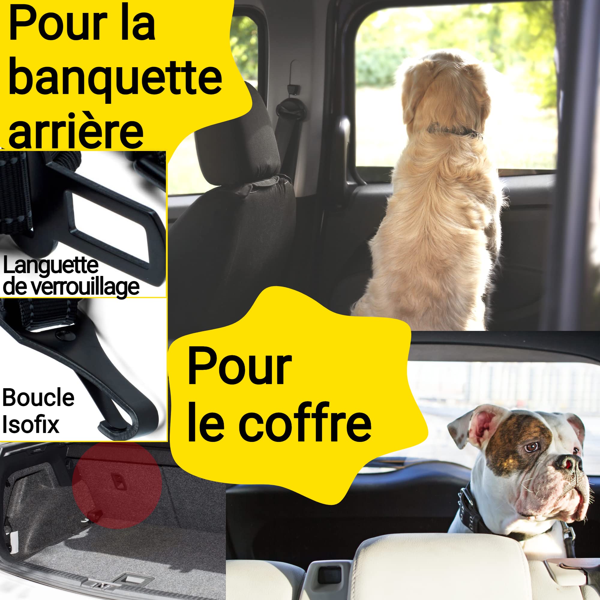 Hundefreund Ceinture de Sécurité pour Chien Voiture Extrêmement Sûre - Ceinture Chien Voiture Réglable avec Amortisseur pour Tous Les Types de Voitures et Toutes Les Races de Chiens