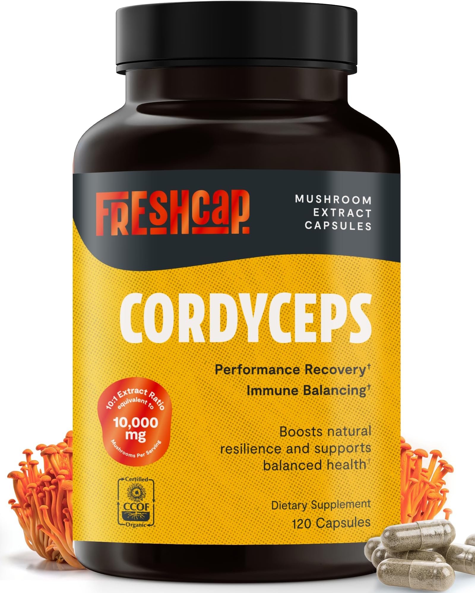 - FreshCap Mushrooms Ayurvedic Premium Organic Cordyceps Capsules - 10:1 Fruiting Body Extract with 32% Beta-Glucans - 3rd-Party Tested - Supports Natural Energry and Promotes Endurance (120 Capsules)