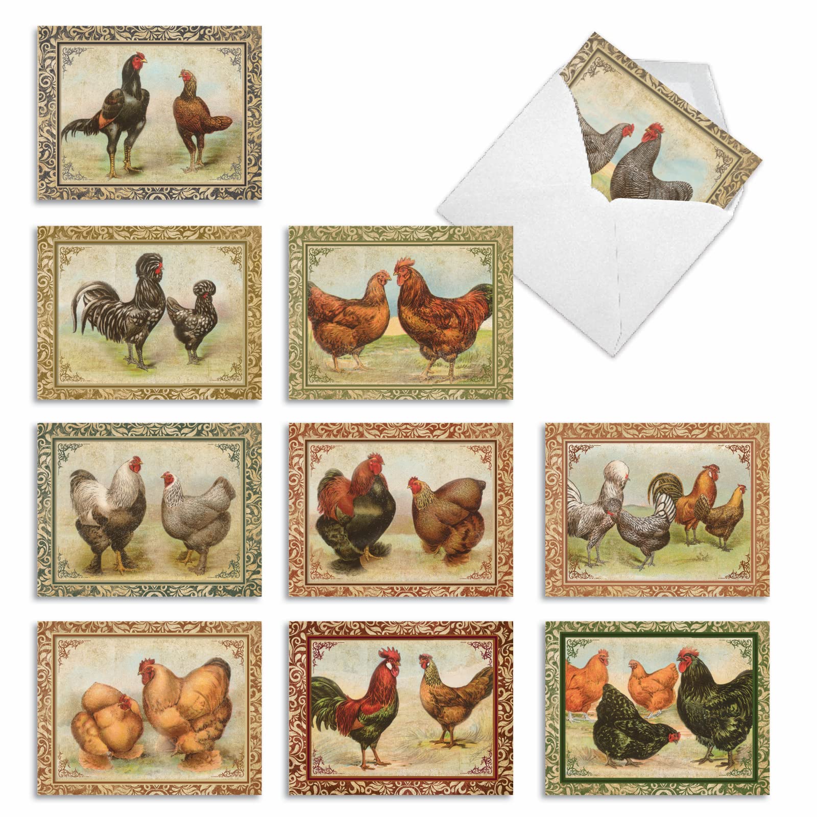 The Best Card Company - 10 Bird Note Cards Blank (4 x 5.12 Inch) - All Occasion Cards with Envelopes, Boxed Set - Card-A-Doodle-Do M2351OCB