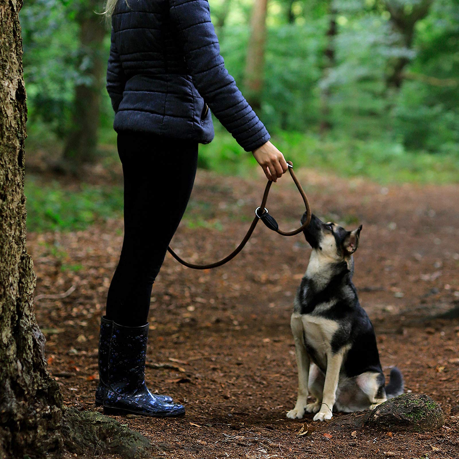 lionto Smycz typu retriever, 170 cm, odporna na warunki pogodowe, smycz i obroża w jednym, szybkie zakładanie, z miękkim materiałem chroniącym sierść i z blokadą zacisku, wegańska, kolor brązowy