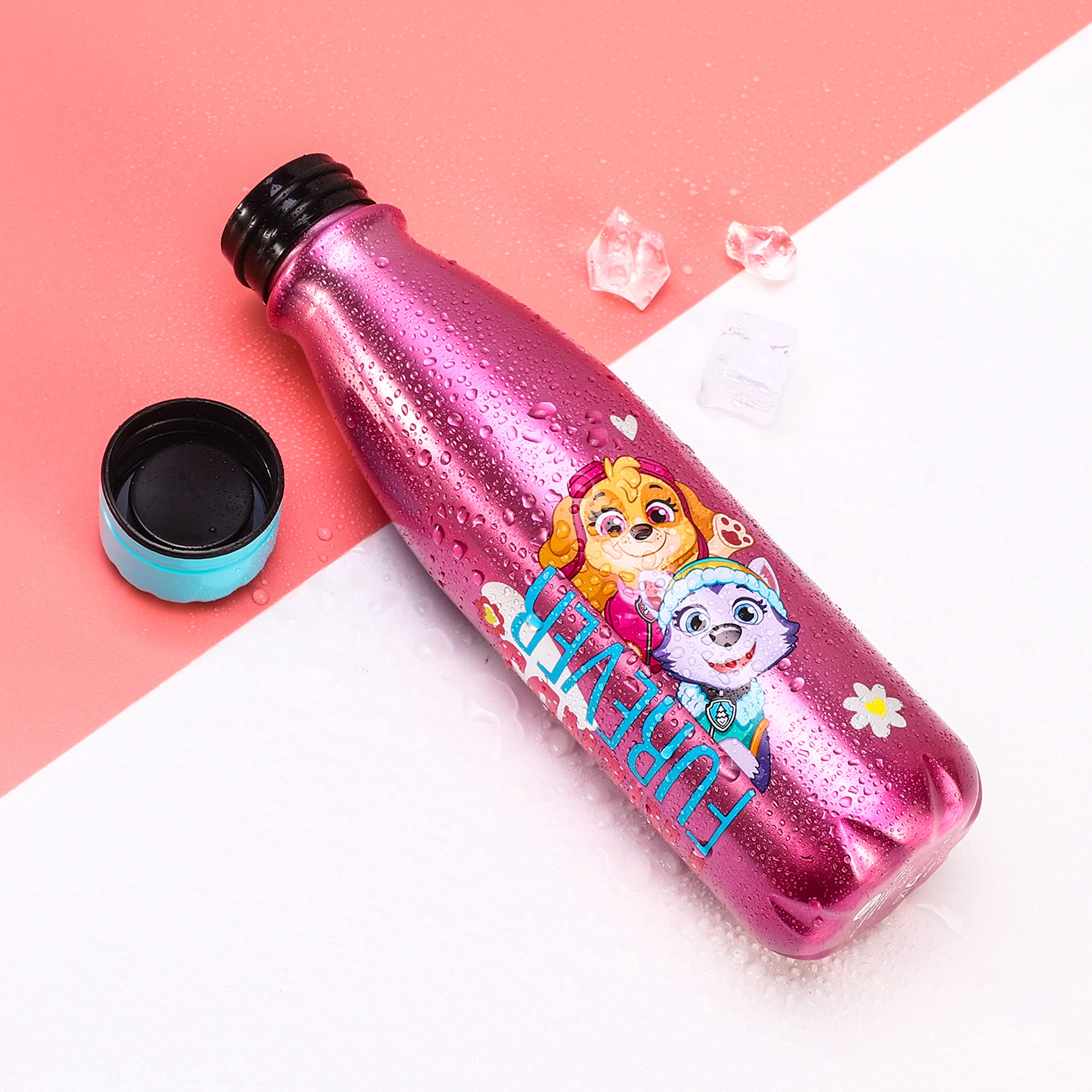 Stor Paw Patrol - Borraccia in alluminio da 600 ml, per bambini e bambini