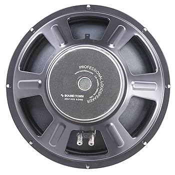 スピーカー・ウーファー  SPEAKER 300 81Vk4ZnFBKL._UF350,350_QL80_.jpg