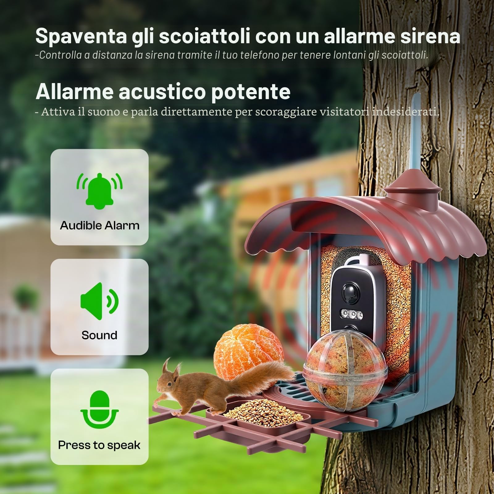 Casetta per uccelli con fotocamera da 4 MP, mangiatoia per uccelli a energia solare, mangiatoia per uccelli, registrazione video/foto, identificazione AI, rilevamento del movimento, notifica
