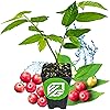Product Photo 1