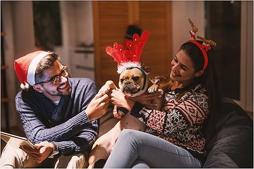 Miniatura 6 de Allynn's 20 tarjetas de Navidad divertidas de perro travieso, en caja con sobres, 10 tarjetas de feliz perro travieso