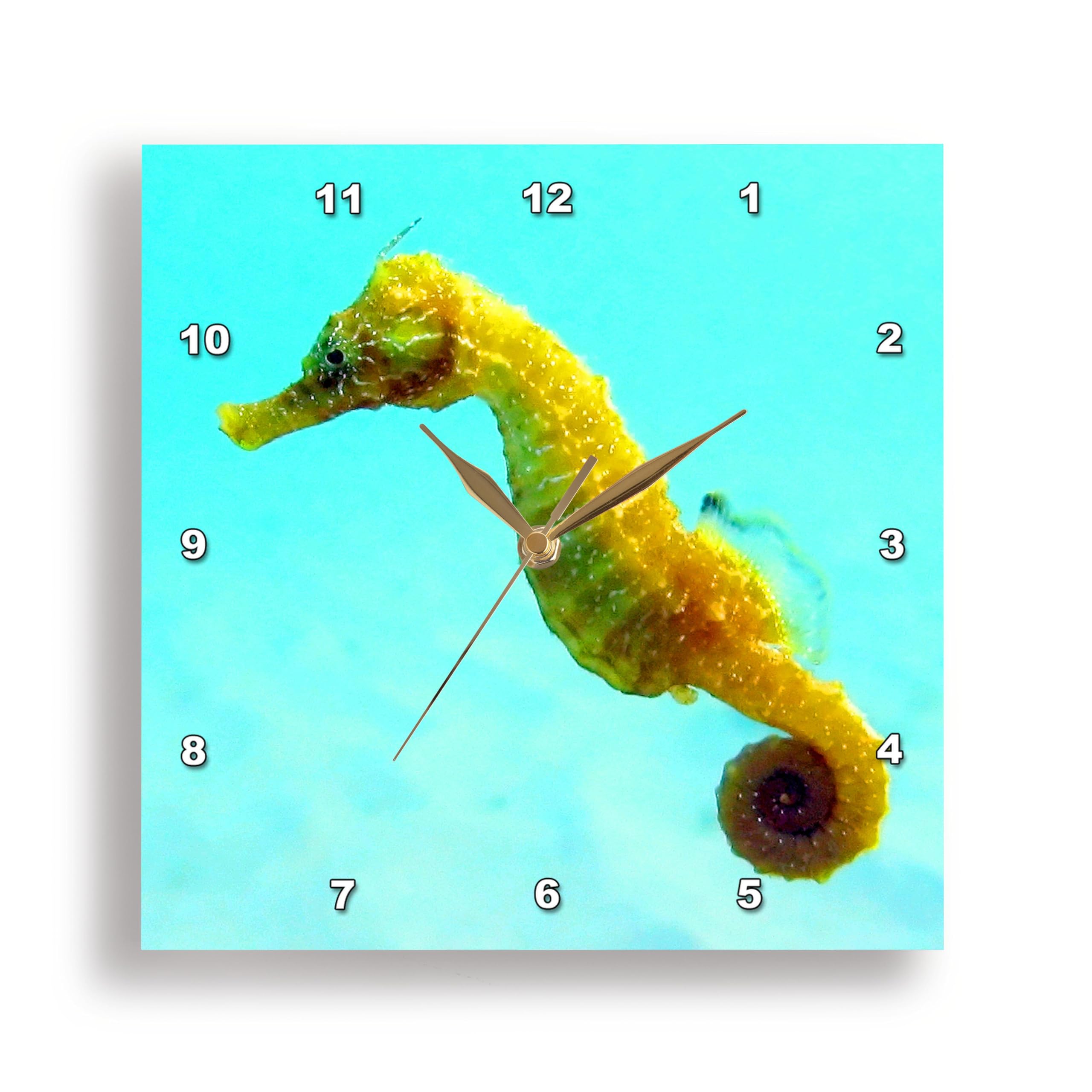 Horloge murale hippocampe 10x10 cadeau idéal pour passionnés de mer