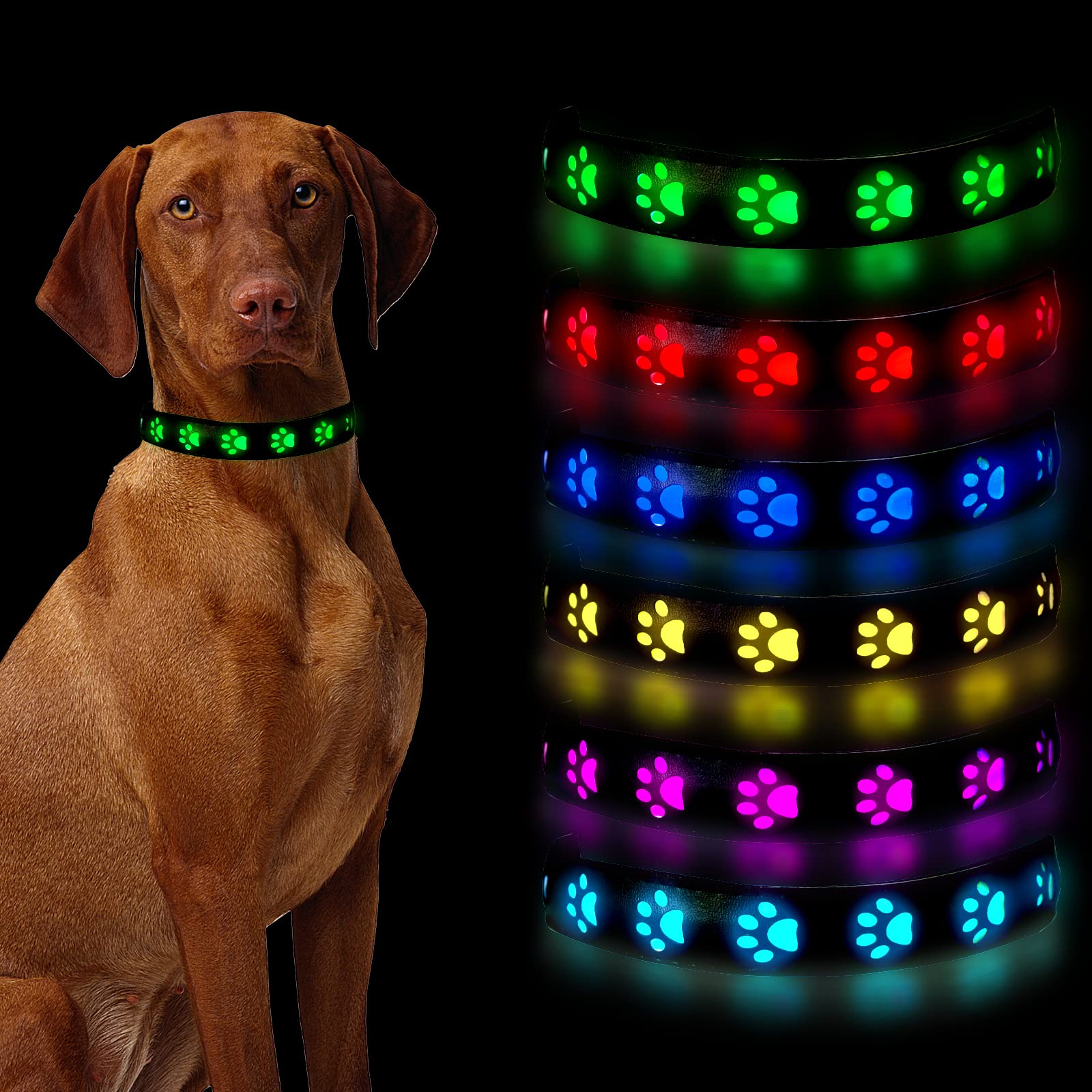 1 Stck LED Leuchthalsband Hund,Leuchthalsband Hund Aufladbar Led Halsband  fr Hunde, 6 Farbwechsel Led Hundehalsband Hunde Leuchthalsband  Hundehalsband Leuchtend, Verstellbare Halsband Hund Leuchtend : Amazon.de:  Haustier