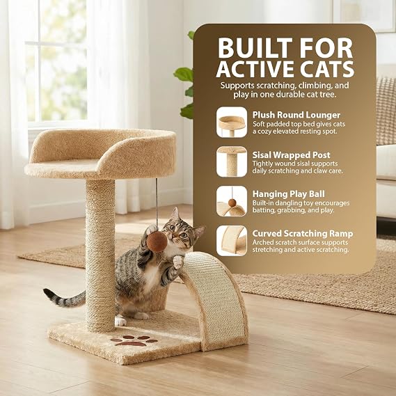 Rex & Roxy Cat Tree 44CM | Cat Scratch Post | Scratching Posts for Indoor Cats | Kitten Scratcher Post | Stable Climbing Tower With Scratching Bridge, Cosy Bed & Post for Playing (Beige)