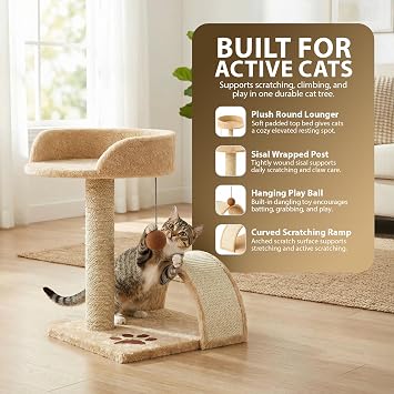 Rex & Roxy Cat Tree 44CM | Cat Scratch Post | Scratching Posts for Indoor Cats | Kitten Scratcher Post | Stable Climbing Tower With Scratching Bridge, Cosy Bed & Post for Playing (Beige)