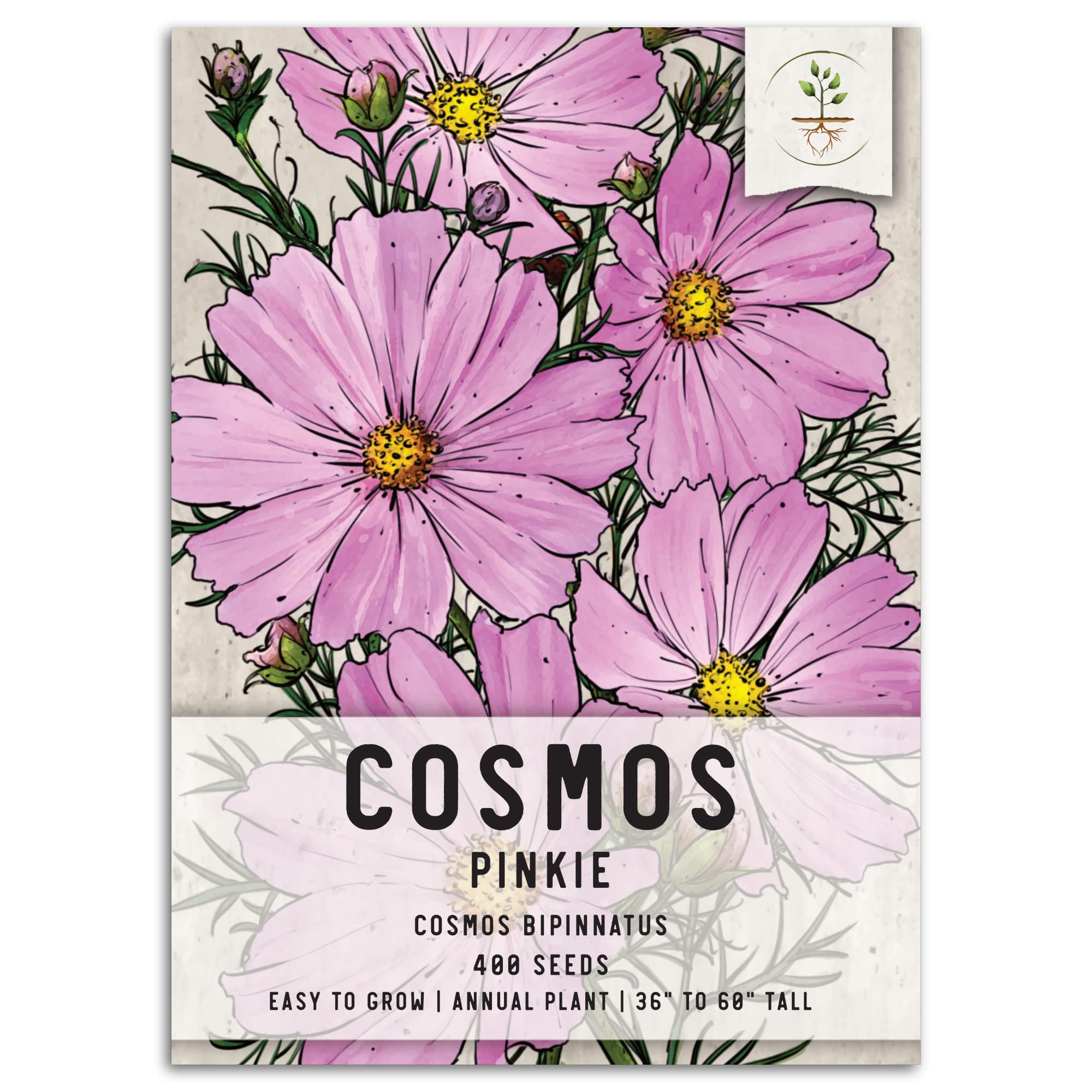 Amazon.com : Seed Needs Pinkie Cosmos Seeds to Plant Pink Annual