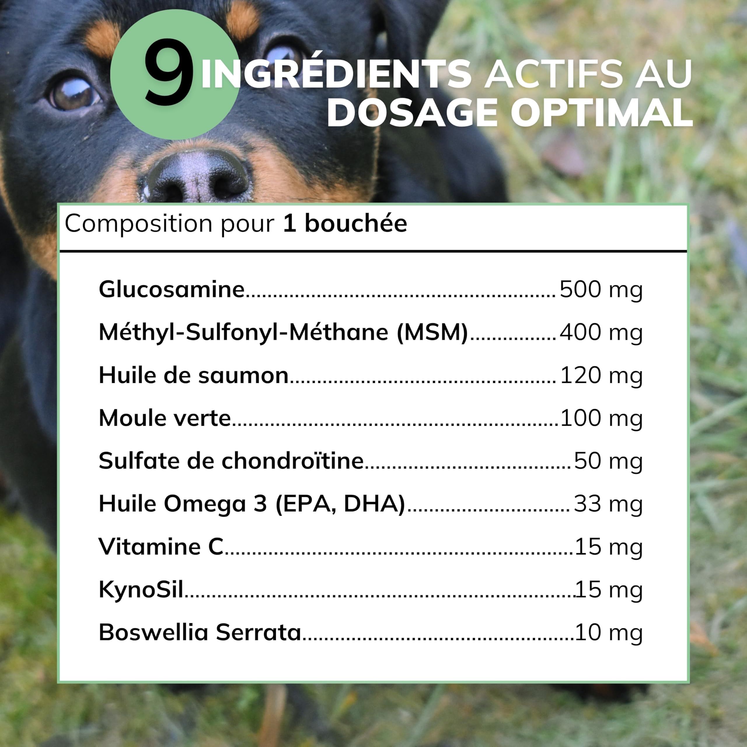 Articulations Chien | Complément Mobilité & Arthrose | 60 Friandises Naturelles | Anti-inflammatoire, Collagène | Chiot, Tous âges & Races | Formule Vétérinaire - Marque Française