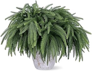 16 Pcs Real Touch Norfolk Pine Branches, 18" Artificial Pine Branches Faux Christmas Greenery, Evergreen Norfolk Pine Stems Picks for Vase DIY Crafts Christmas Decorations Indoor Home Décor