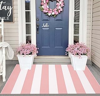 Striped Area Rug 27.5
