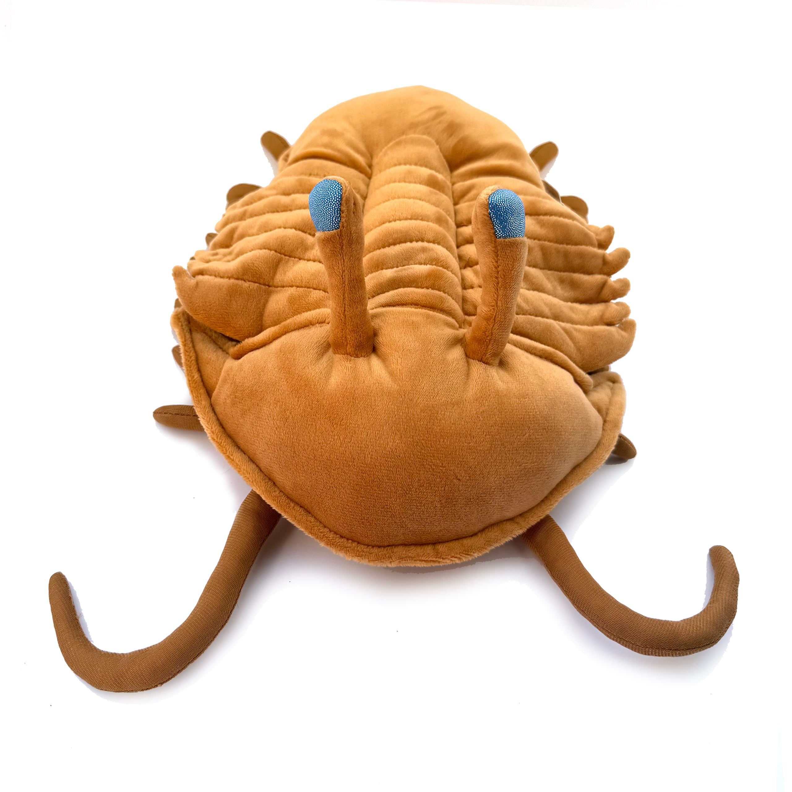 PuffPurrs Asaphus Kowalewskii Plush Toy - Unique & Realistic Trilobite - Educational Toy for Nature Lovers - 30CM/11.8IN — image 1