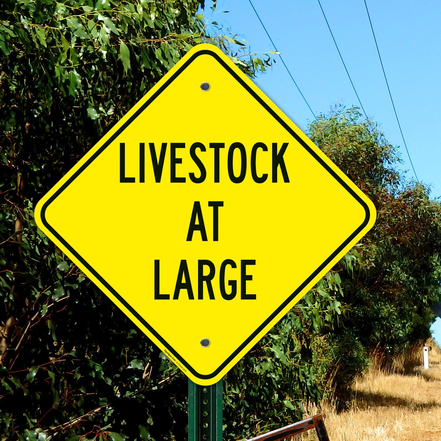 Livestock at Large Sign, 18x18 Inches, Rust Free .063 Aluminum, Fade Resistant, Made in USA