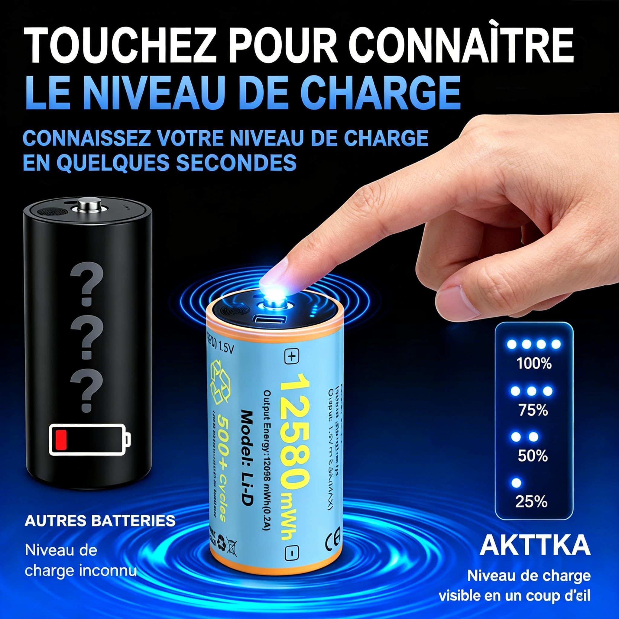 Piles D Rechargeables 12580 mWh, Lot de 4, 1,5V Li-ION, LR20, Mono D