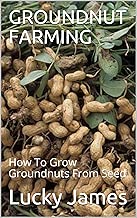 GROUNDNUT FARMING: How To Grow Groundnuts From Seed